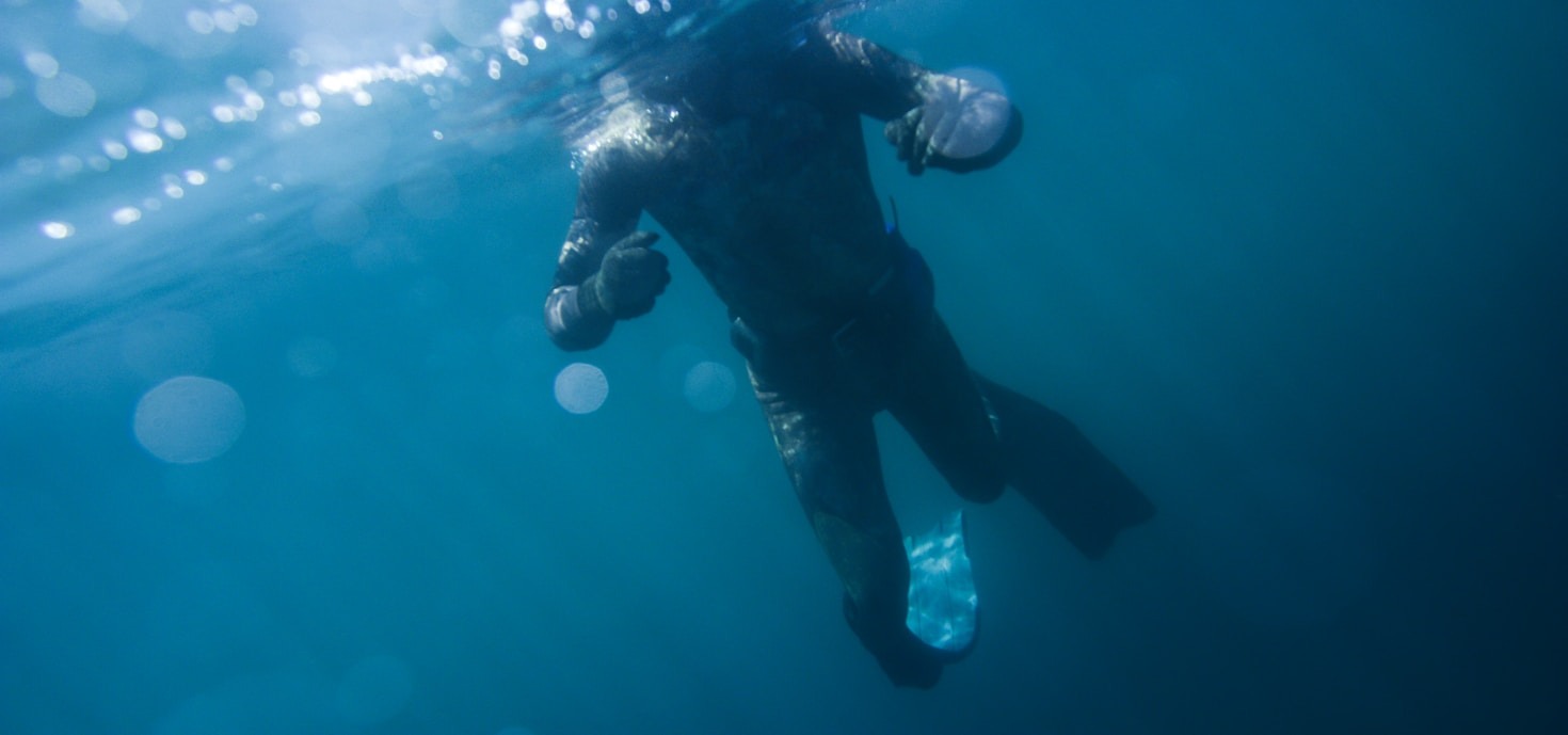 Emergency Diving Services: What You Should Know